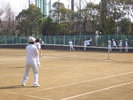 向陽テニス